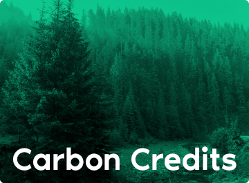 carbon credits